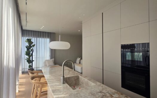 Penthouse a louer a 100 m de la mer Tel Aviv