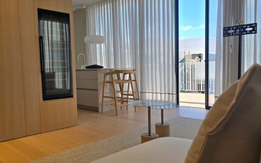Penthouse a louer a 100 m de la mer Tel Aviv