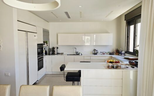 Mini Penthouse a Vendre dans le Nort de Tel Aviv